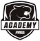 furia-academy