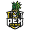 pex-team