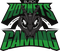 black-hornets-gaming