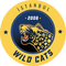 istanbul-wildcats-academy