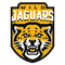 wild-jaguars