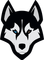 husky-team