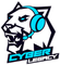 cyber-legacy