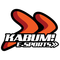team-kabum