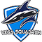 vega-squadron