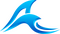 tsunami