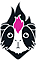 guinea-pink-alpaca