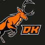 VDE