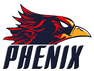 Феникс состав. Phoenix Dota 2. Phoenix Team Dota. Яйцо Феникса дота. Сноуборд Phoenix Team