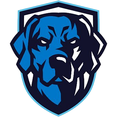 Logo esport Dog. Ot logo. Team ot ru