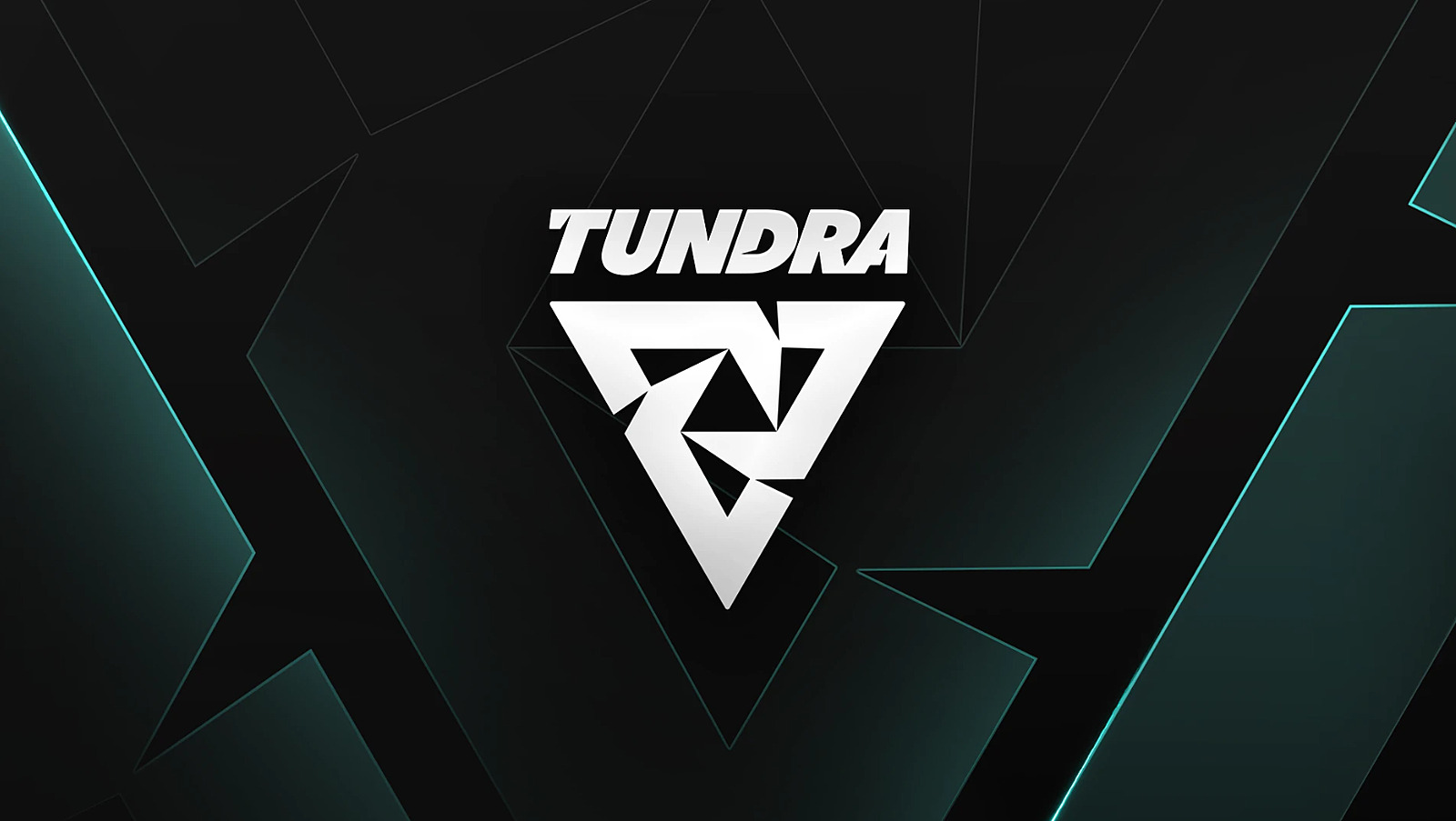 Tundra Esports: «MinD_ContRoL уведомил нас, что не будет представлять  команду, если не будут выполнены необоснованные условия». Новости Dota 2